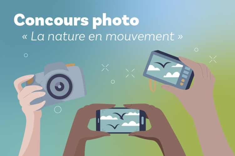 2407-WEB-concours_photos_sism.jpg